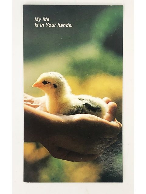 Holy Card "Chick - My Life is in your Hands" (68x120mm)