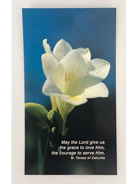 Holy Card "Mother Teresa - May the Lord Give us the Grace..." (68x120mm)